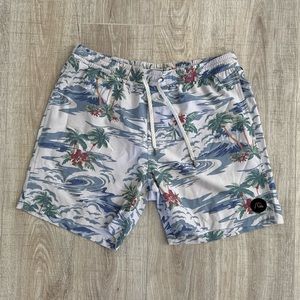 Quicksilver Board Shorts Men